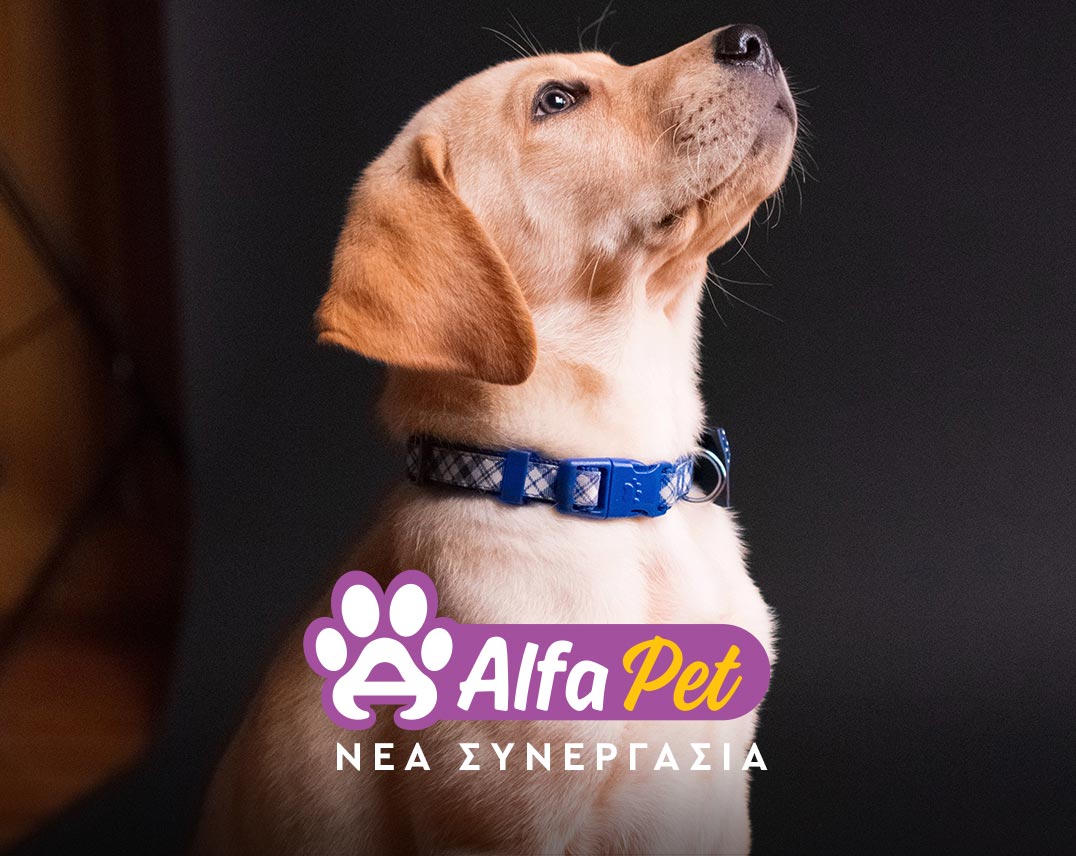 Δημιουργία eshop για την Alfa Pet