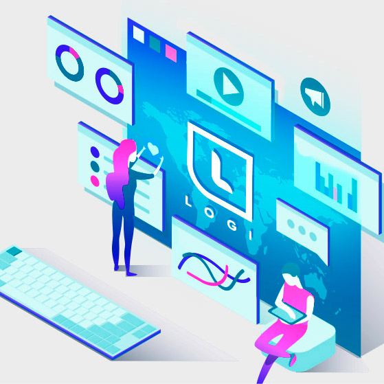 Custom web solution Logi platform  Custom web solution Logi platform