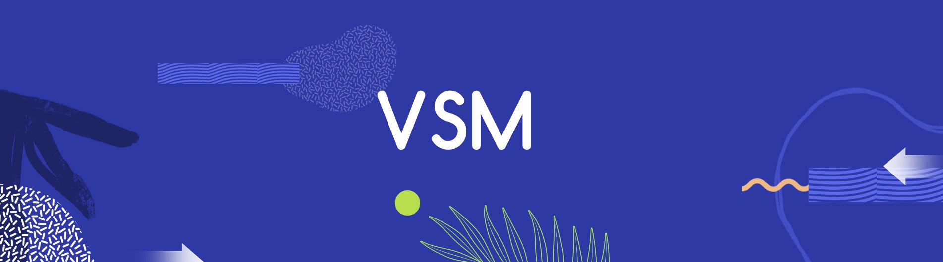 VSM